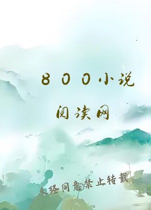 800小说阅读网